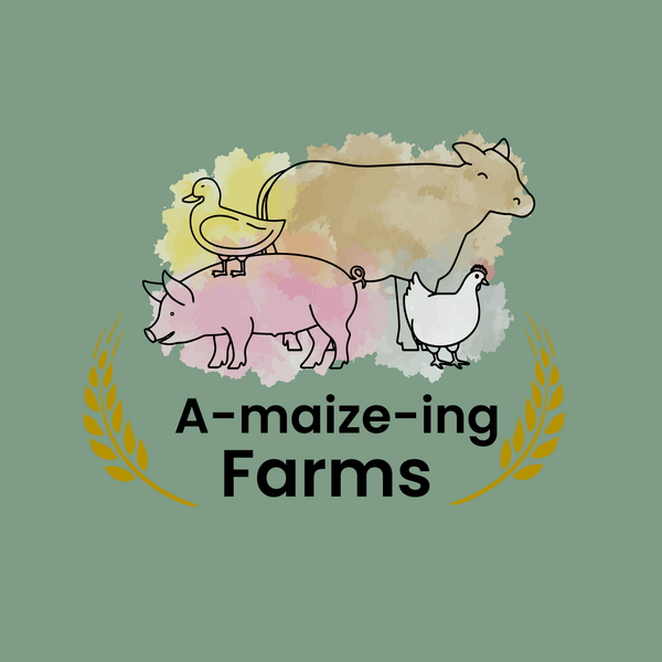 A-Maize-Ing Farms